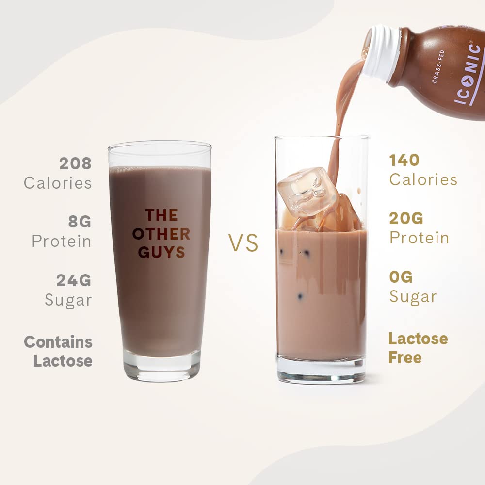 Chocolate Truffle Sugar Free Low Carb Protein Drinks 12 Pack T954066