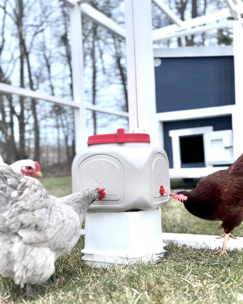 Compact Chicken Waterer with No Spill System, 5 Gallon U400770
