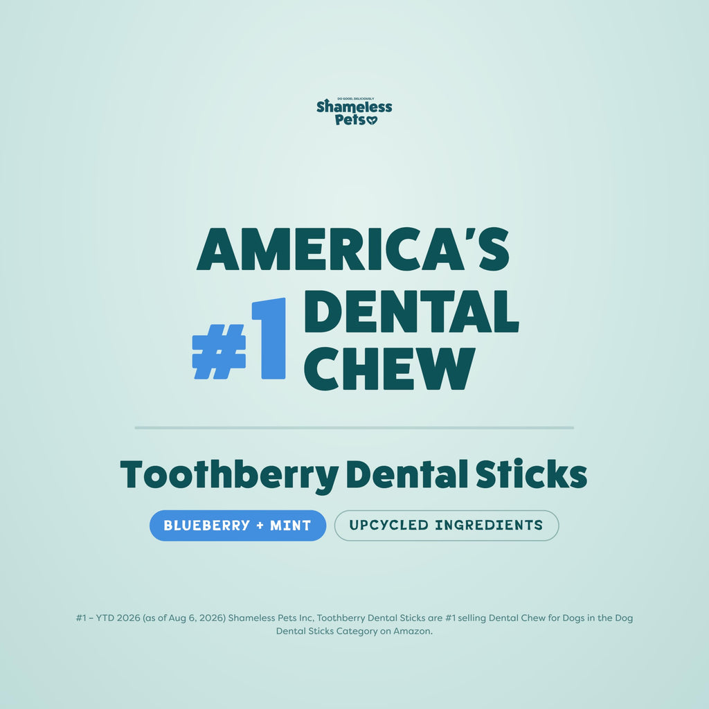 Blueberry & Mint Dental Chews for Dogs, 8 Chews J1187
