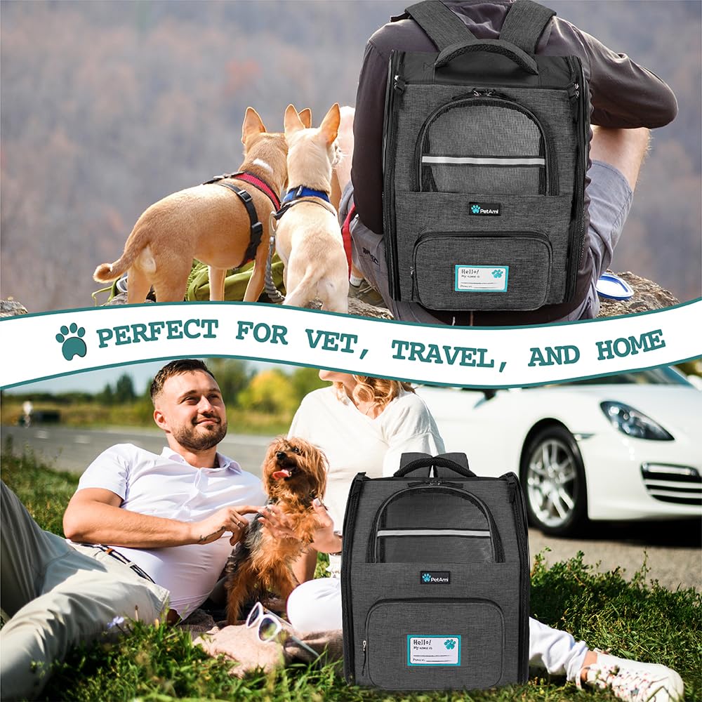 Charcoal Dog Backpack Carrier B68396