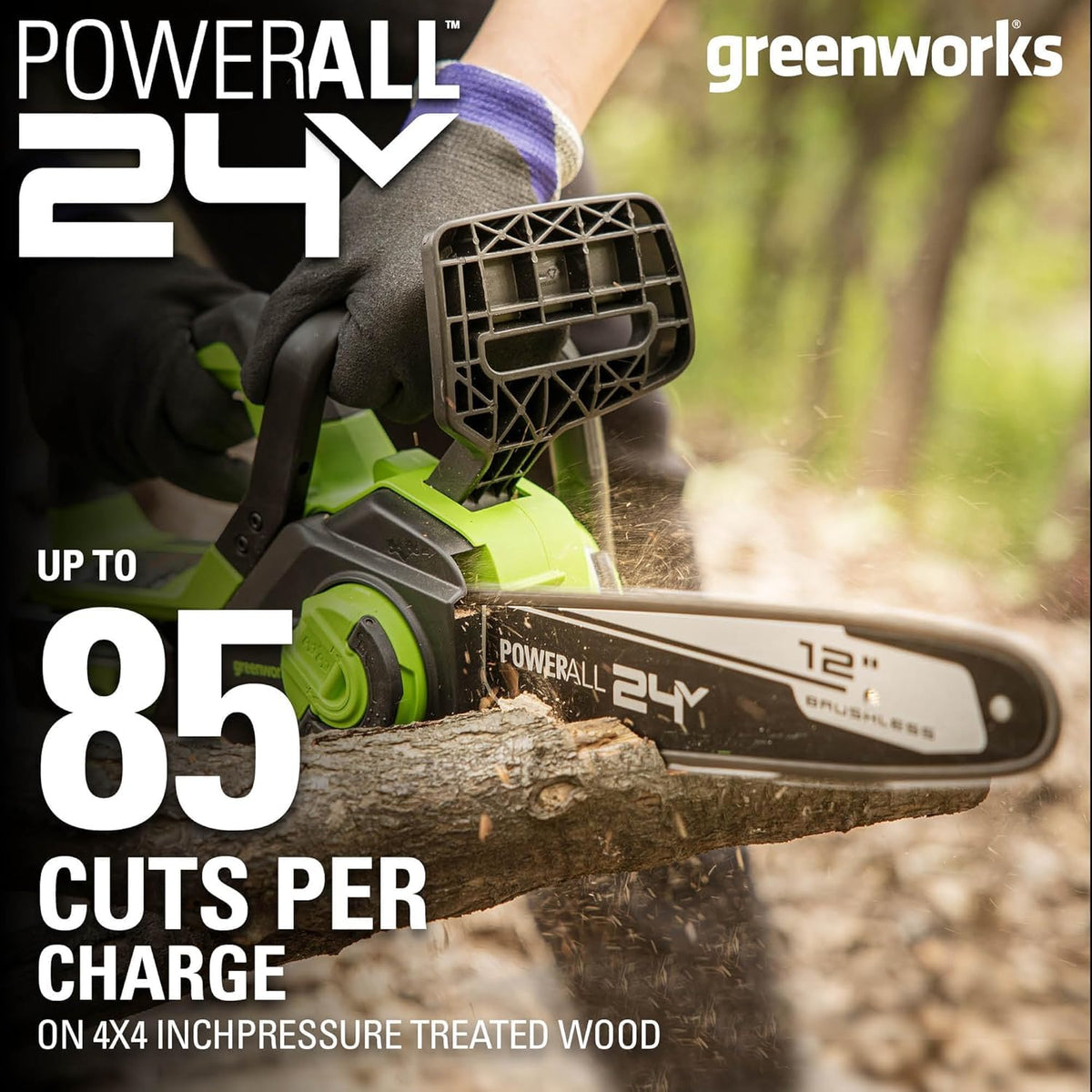 24V 12 in Cordless Electric Chainsaw T558667