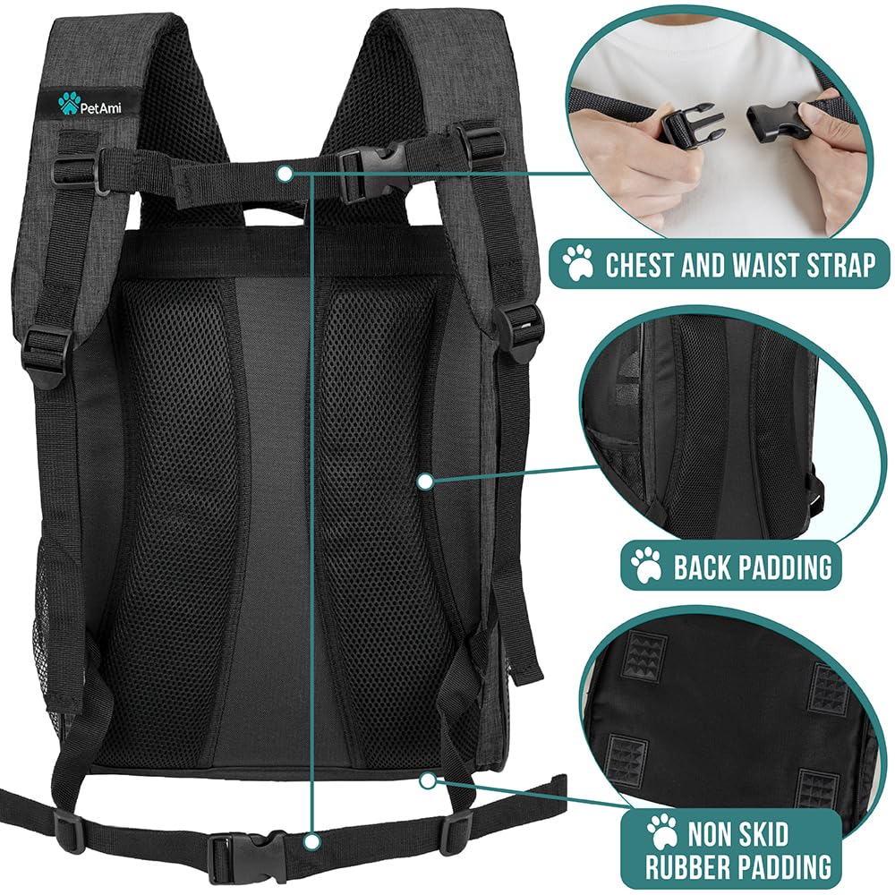 Charcoal Dog Backpack Carrier B68396