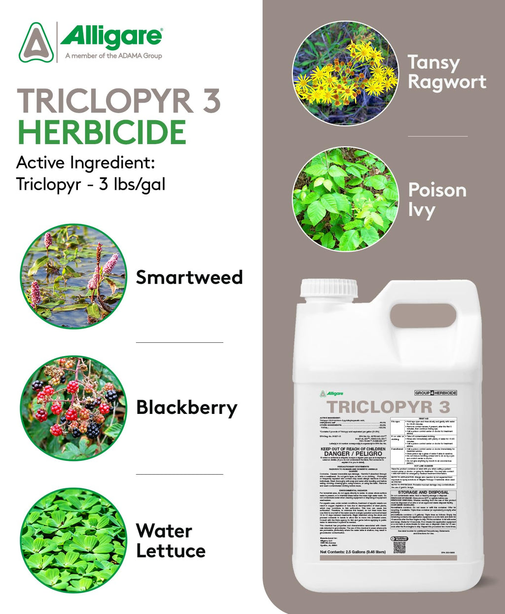 Triclopyr 3 Herbicide 2.5 Gal X942