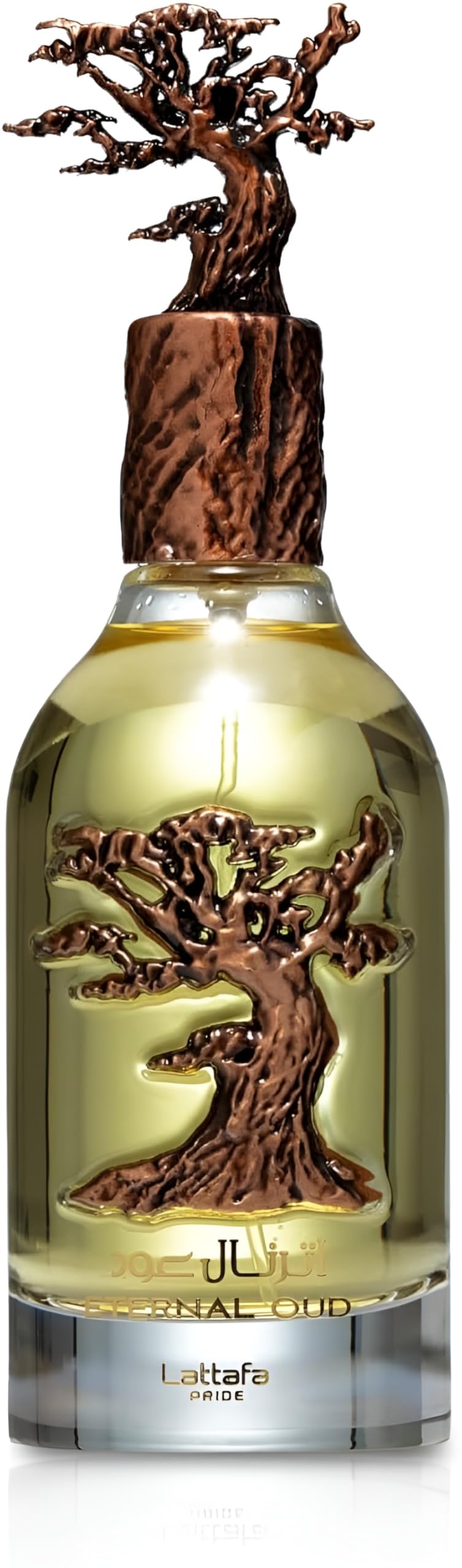 Oud Eau De Parfum Spray 3.4 Ounce G803646