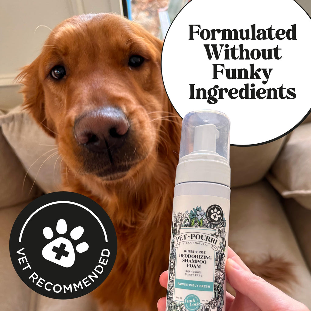 Rinse-Free Deodorizing Dry Shampoo for Dogs & Cats, 6 Fl Oz D464