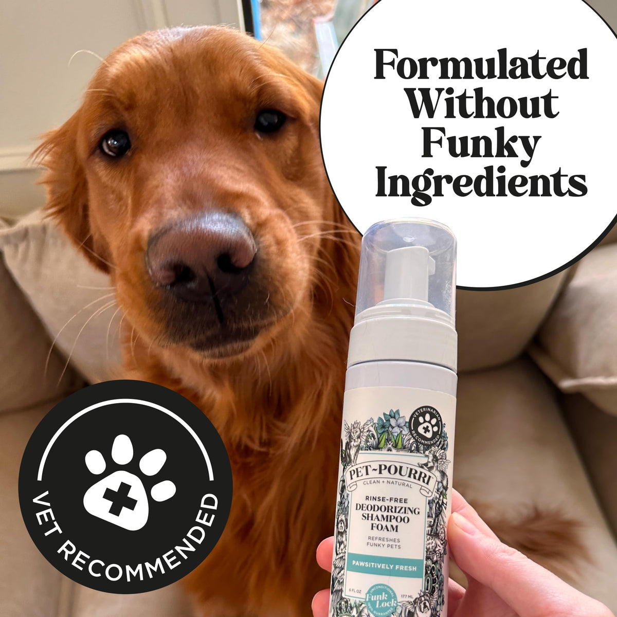 Rinse-Free Deodorizing Dry Shampoo for Dogs & Cats, 6 Fl Oz D464