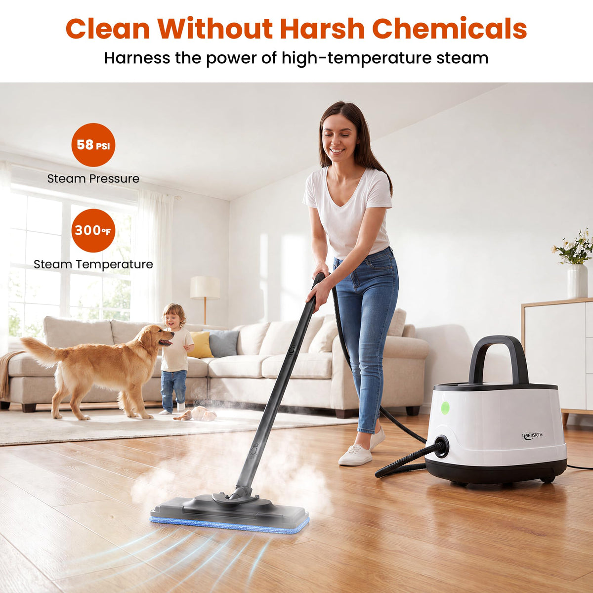 Multipurpose Steam Cleaner O339