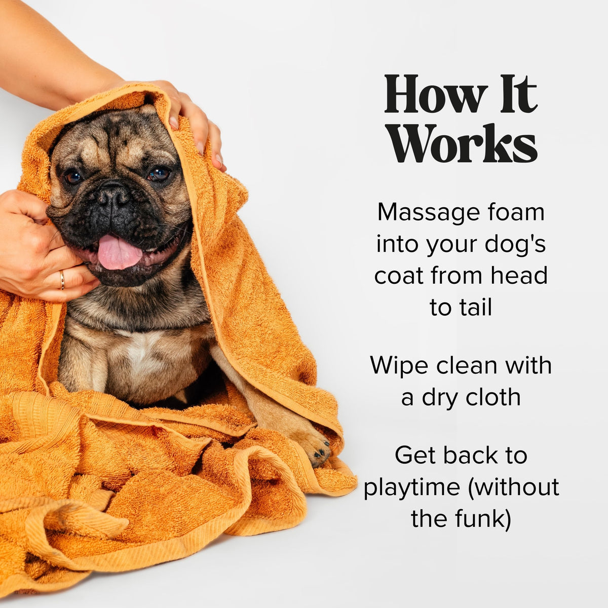 Rinse-Free Deodorizing Dry Shampoo for Dogs & Cats, 6 Fl Oz D464