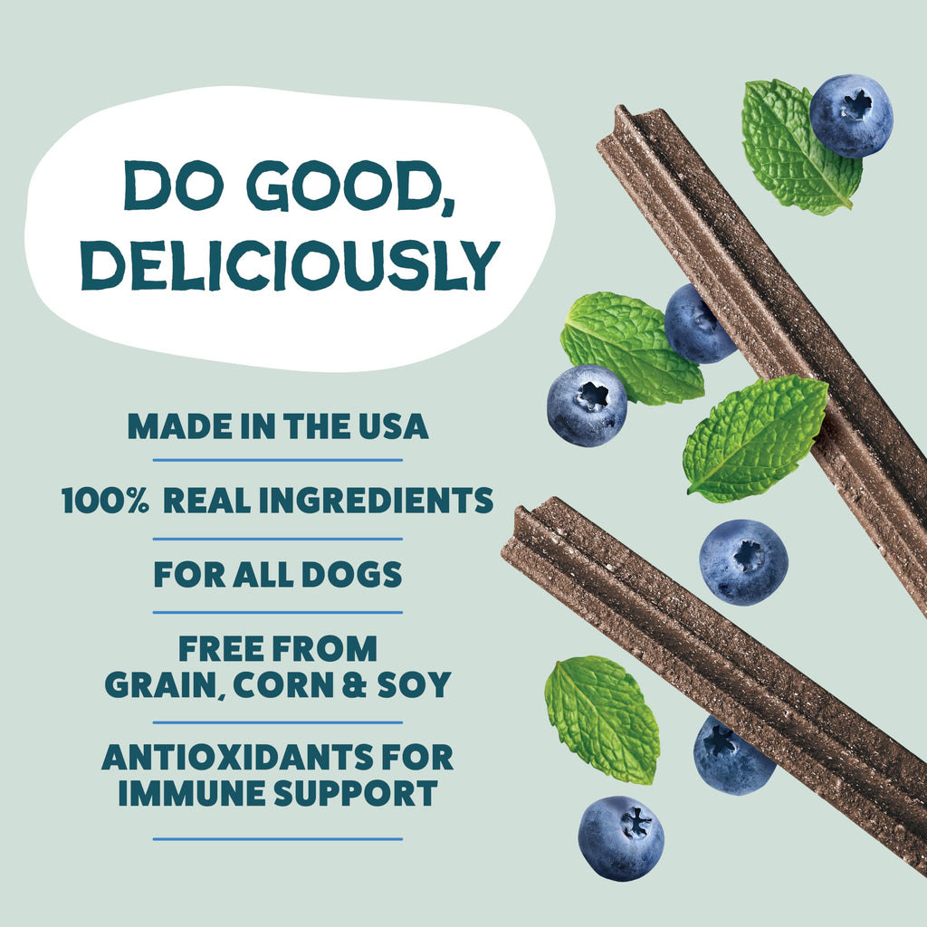 Blueberry & Mint Dental Chews for Dogs, 8 Chews J1187
