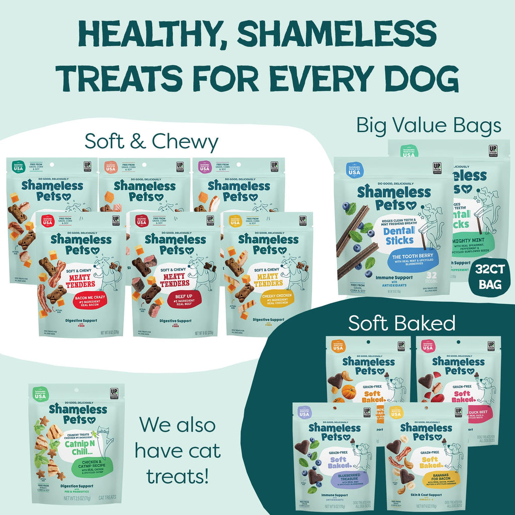 Blueberry & Mint Dental Chews for Dogs, 8 Chews J1187