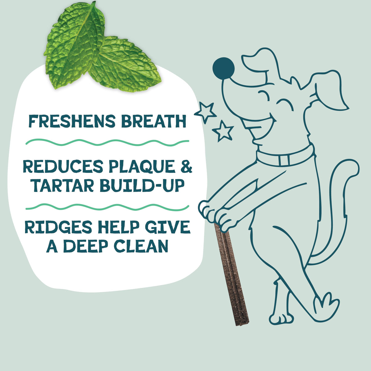 Blueberry & Mint Dental Chews for Dogs, 8 Chews J1187