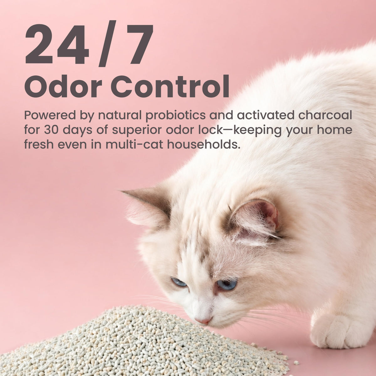 Tofu Cat Litter 18lb Q7880
