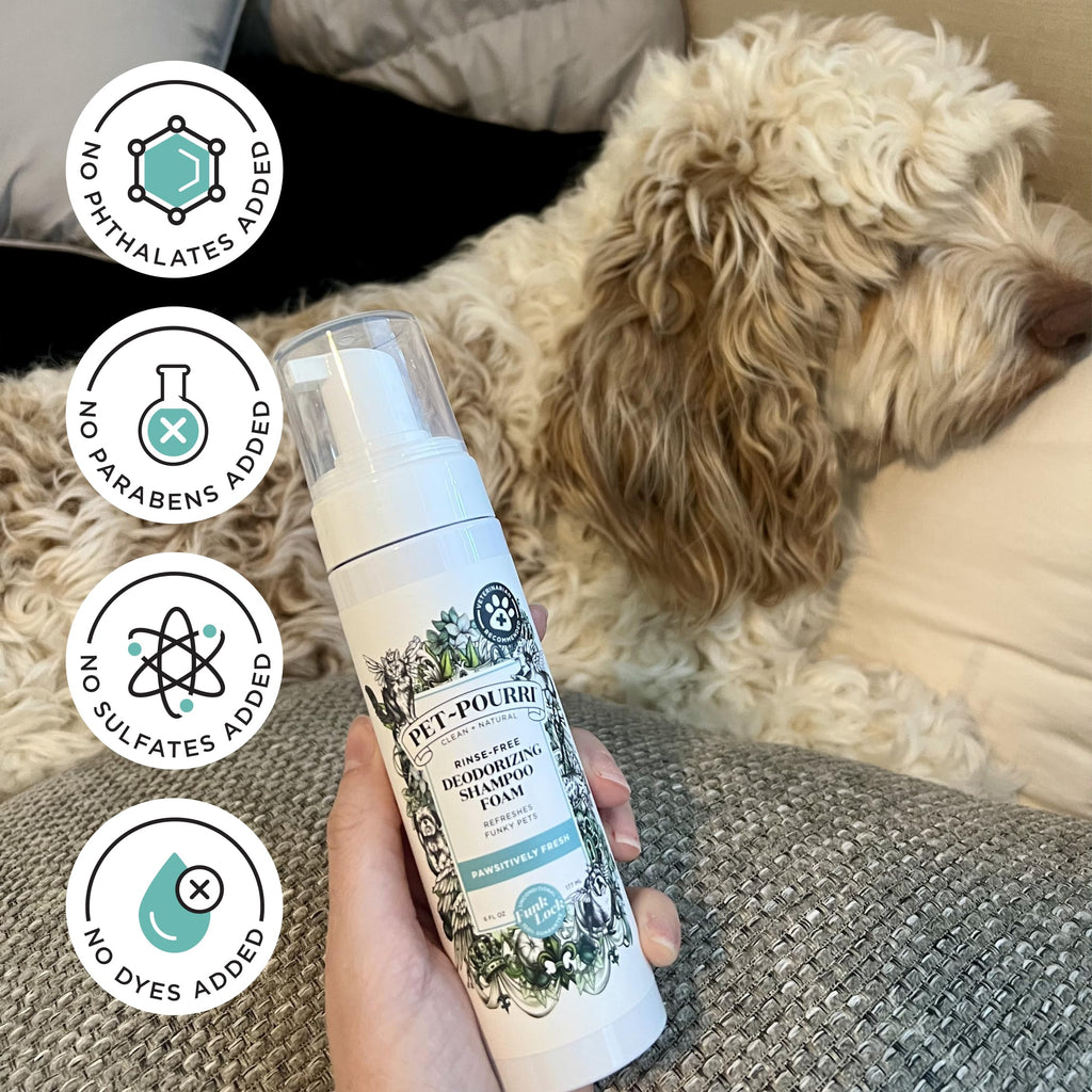 Rinse-Free Deodorizing Dry Shampoo for Dogs & Cats, 6 Fl Oz D464
