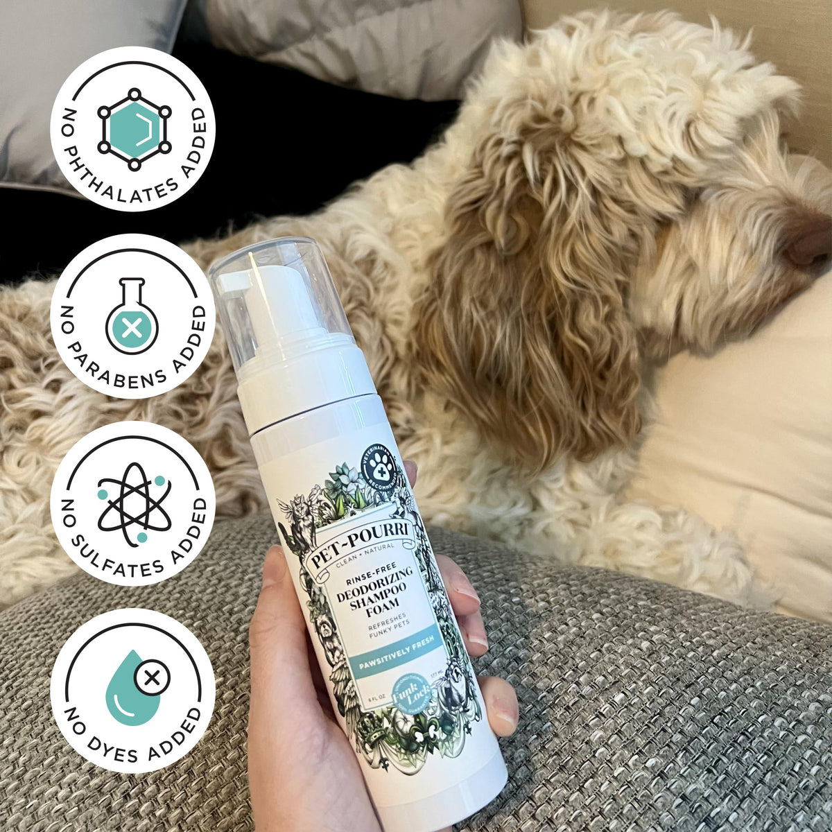 Rinse-Free Deodorizing Dry Shampoo for Dogs & Cats, 6 Fl Oz D464